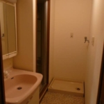 独立洗面台・室内洗濯機置場