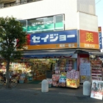 セイジョー 475m (周辺)