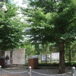 立教大学 240m (周辺)