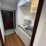 玄関横室内洗濯機置場有り (玄関)