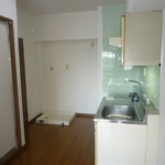 室内洗濯機置場 (居間)