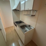 システムキッチン・２口ガスコンロ・グリル付き (キッチン)