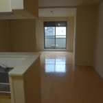 LDK11.3帖 (居間) LDK11.3帖 (居間)